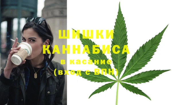 гидра Богданович