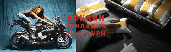 гидра Богданович