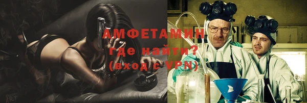 гидра Богданович