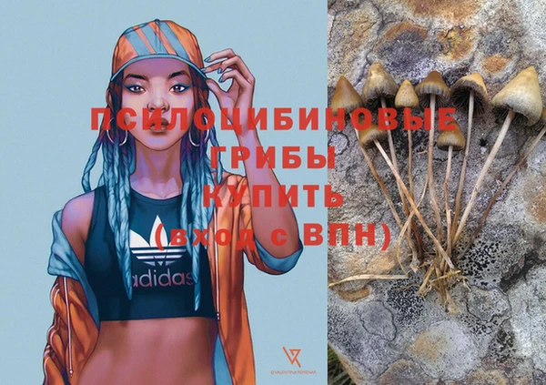 гидра Богданович