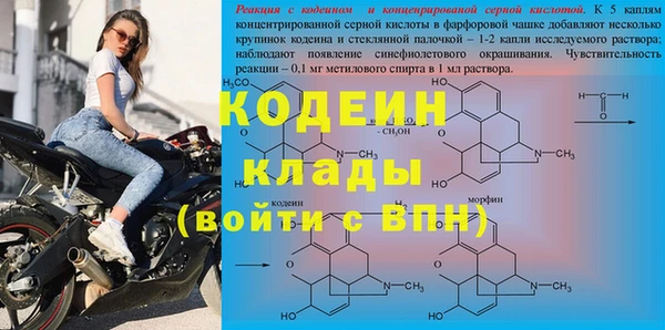 гидра Богданович