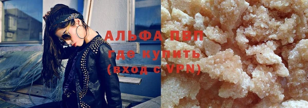 гидра Богданович