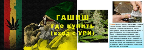 гидра Богданович