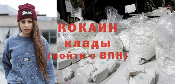 гидра Богданович