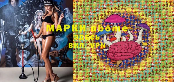 гидра Богданович